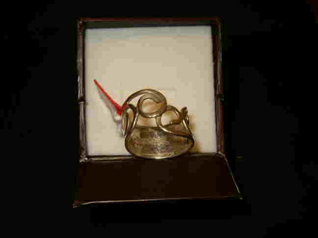anillo2
