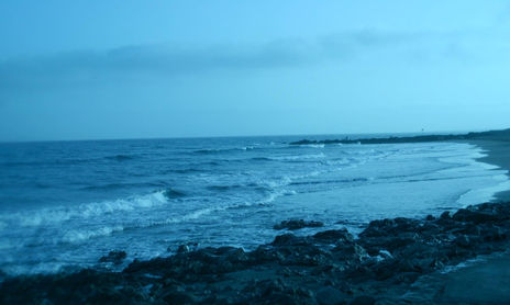 CANARIAS