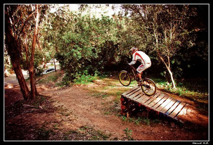 Pure bike...