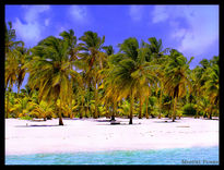 Isla Saona -...