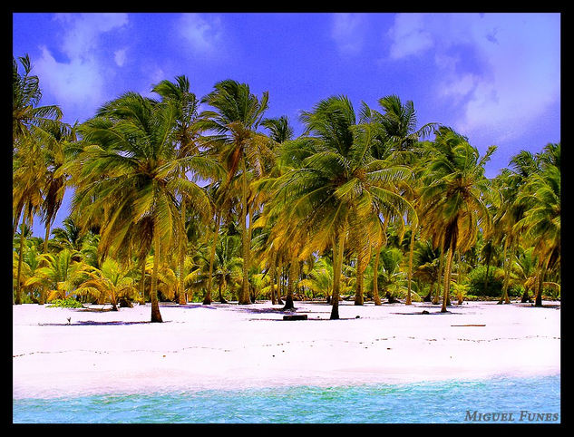 Isla Saona - Rep.Dominica Viajes Color (Digital)