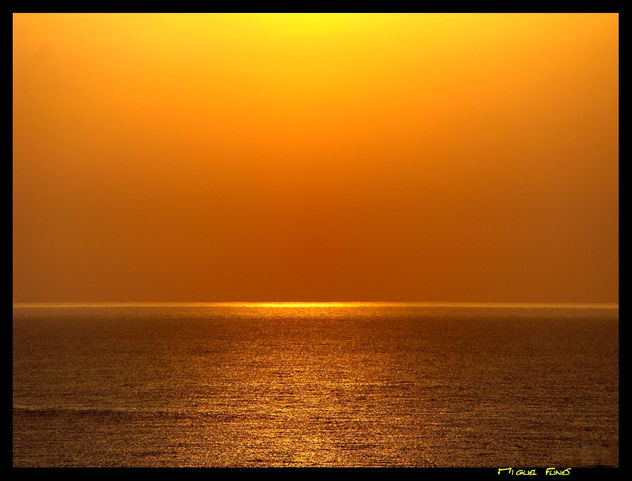 El mar amarillo