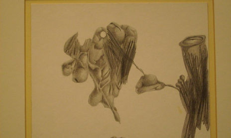 FLESH IN PROCESS