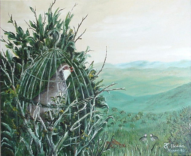 JAULA