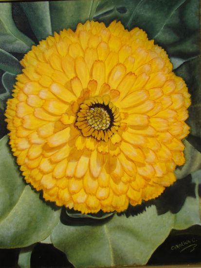 Flor de Sol Oil Canvas Floral Painting