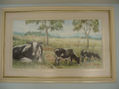Vacas Foster en descanso