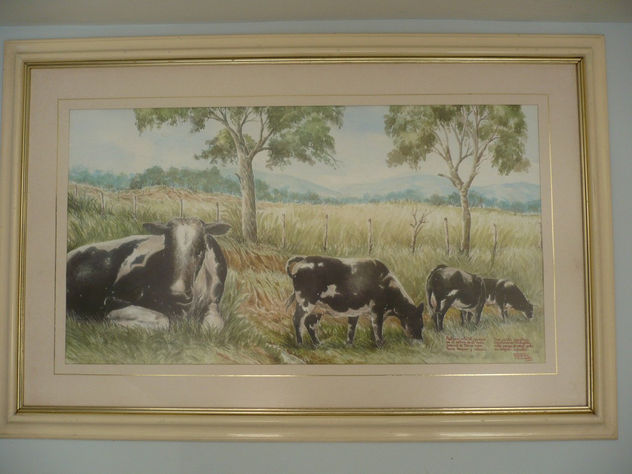 Vacas Foster en descanso