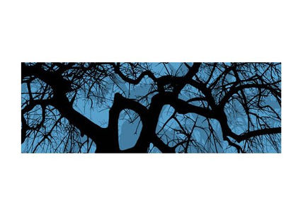 Sombras diurnas