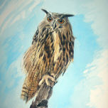 PINTURA thumbnail 2