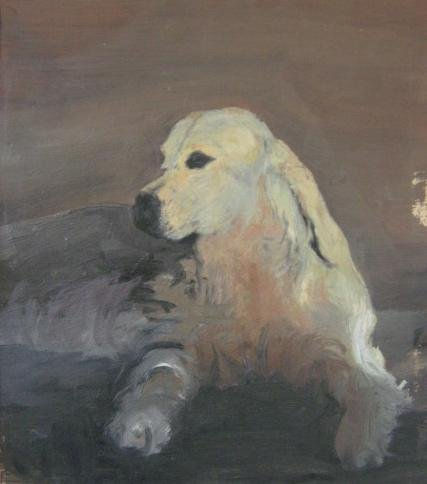 perro de casa