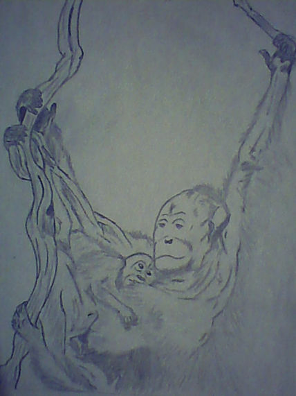 Naturaleza 1