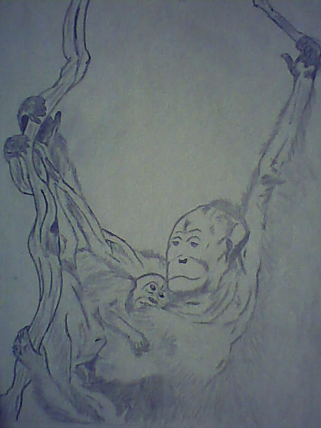 Naturaleza 1