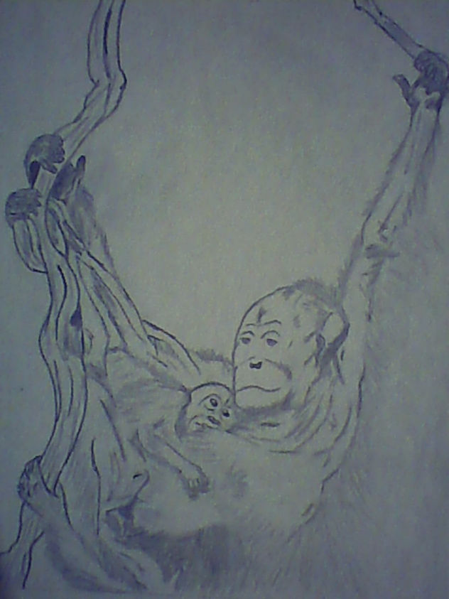 naturaleza 1
