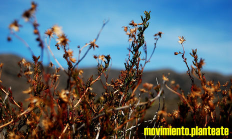 movimiento