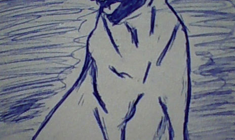dibujos lapicera