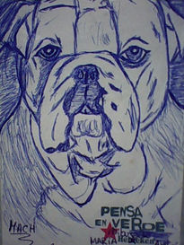 Perro 2