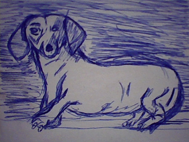 perro 4