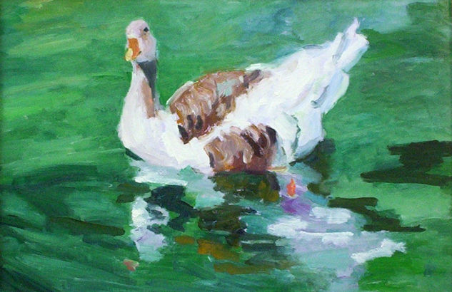 Pato en aguas verdes Oil Canvas