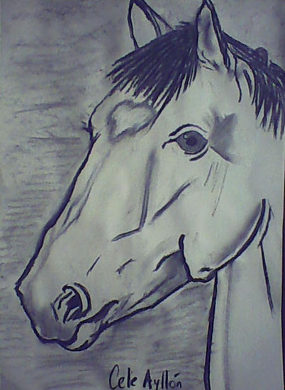 caballo Charcoal