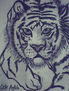 tigre