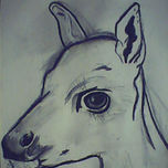 carbonilla animales thumbnail 1
