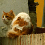PAISAJE URBANO thumbnail 1