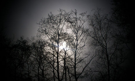 Fotos - Poemas