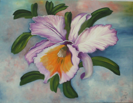 Orquidea