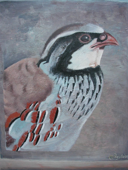 Perdiz Griega
