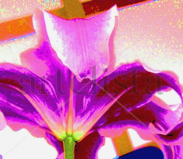 Detalle de un lirio