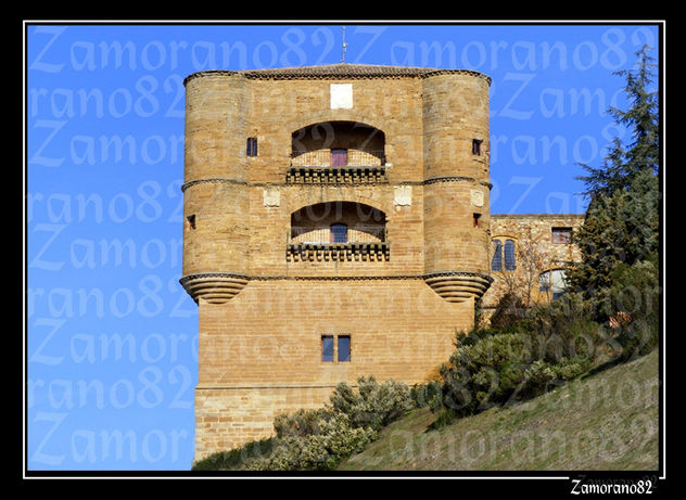 Castillo de la Mota (Benavente,(Zamora)).