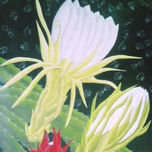 FLORES thumbnail 2