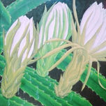 FLORES thumbnail 1