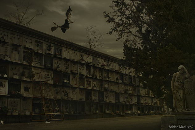 ¨ Noche de Halloween  ¨ de la serie ¨ Vivan Los Muertos ¨