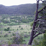 Pueblo originario de la Patagonia: Mapuche thumbnail 1