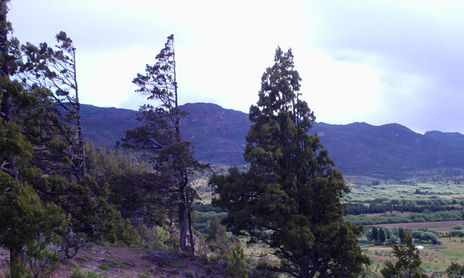 Pueblo originario de la Patagonia: Mapuche