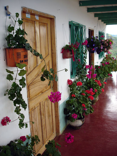 Corredor Campesino Arquitectura e interiorismo Color (Digital)