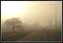 Niebla en Lujan