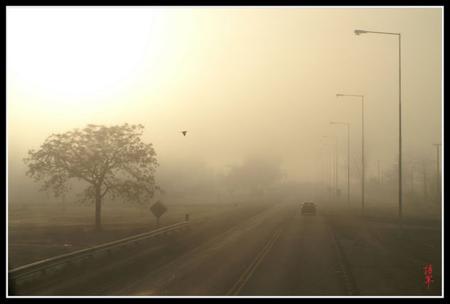 Niebla en Lujan 