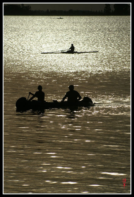 Laguna Chascomus