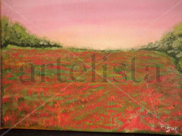 campo de amapolas  mañana
