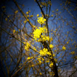 Fotos - Poemas thumbnail 1