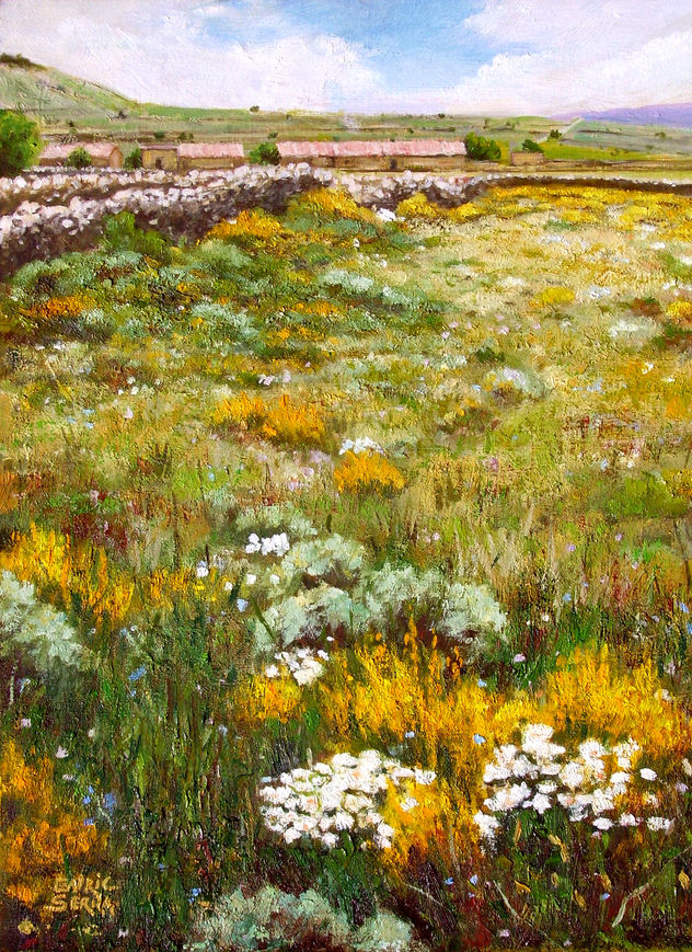 Primavera a Els Ports / Springtime al Els Ports