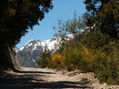 Parque Nacional "Los Alerces"