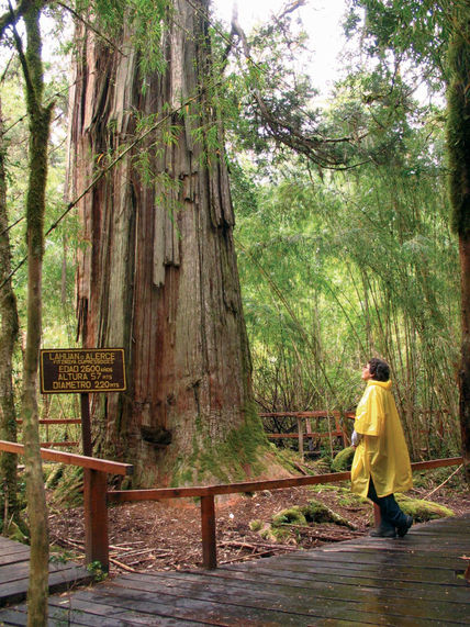 Parque Nacional...