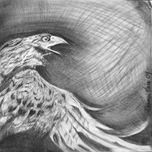 aves thumbnail 1