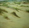 entre dunas