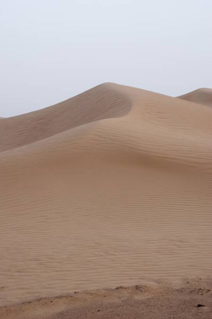 Dunas