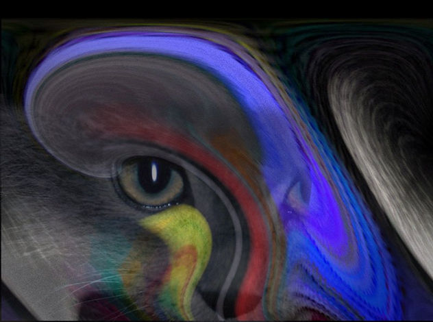 arte digital-UNA MIRADA MISTERIOSA