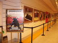 EXPOSICION CORTE INGLES ALGECIRAS